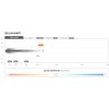 STEDI 8 Inch ST4K 12 LED Double Row Bar - Image 5